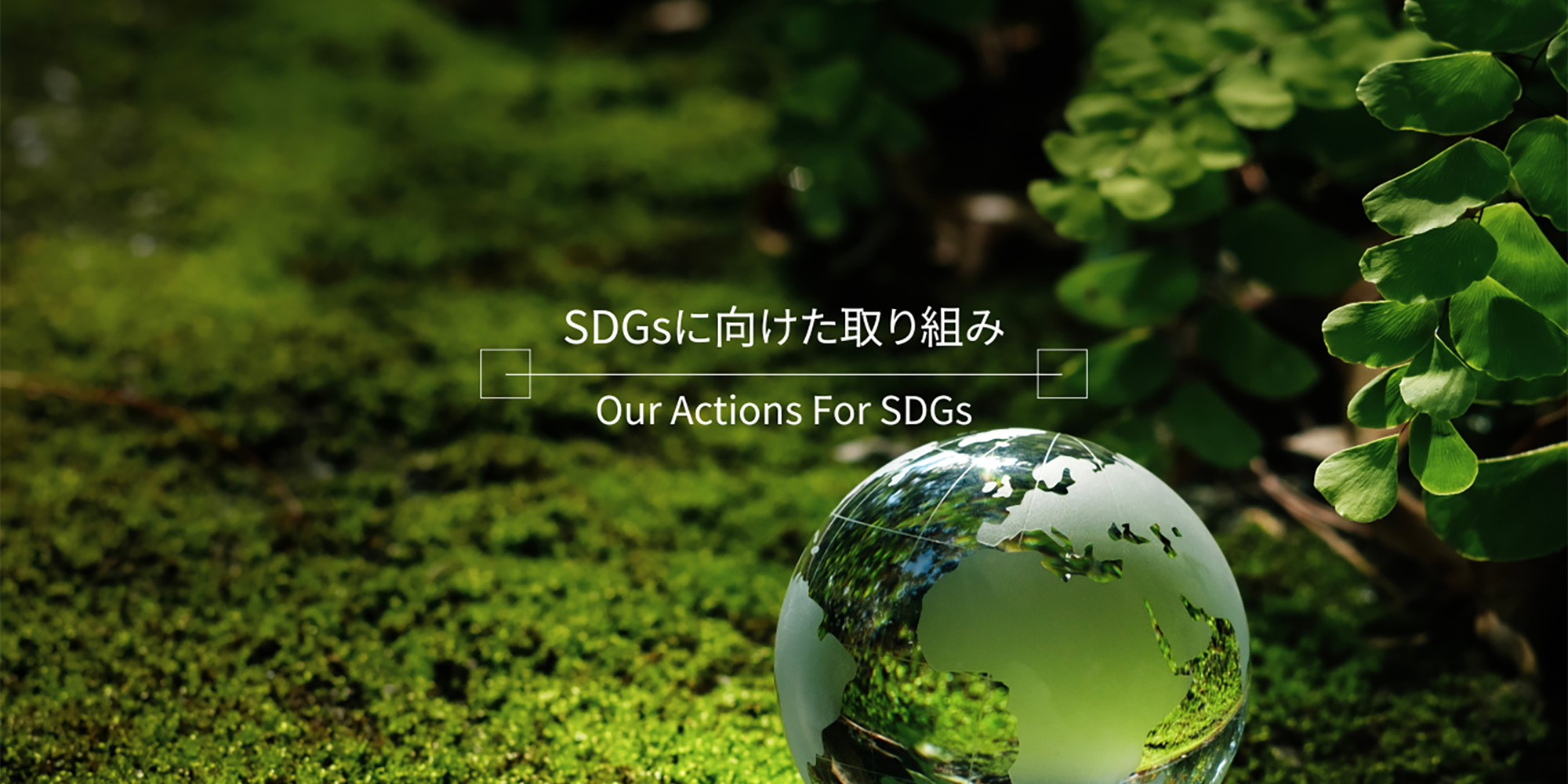 SDGs
